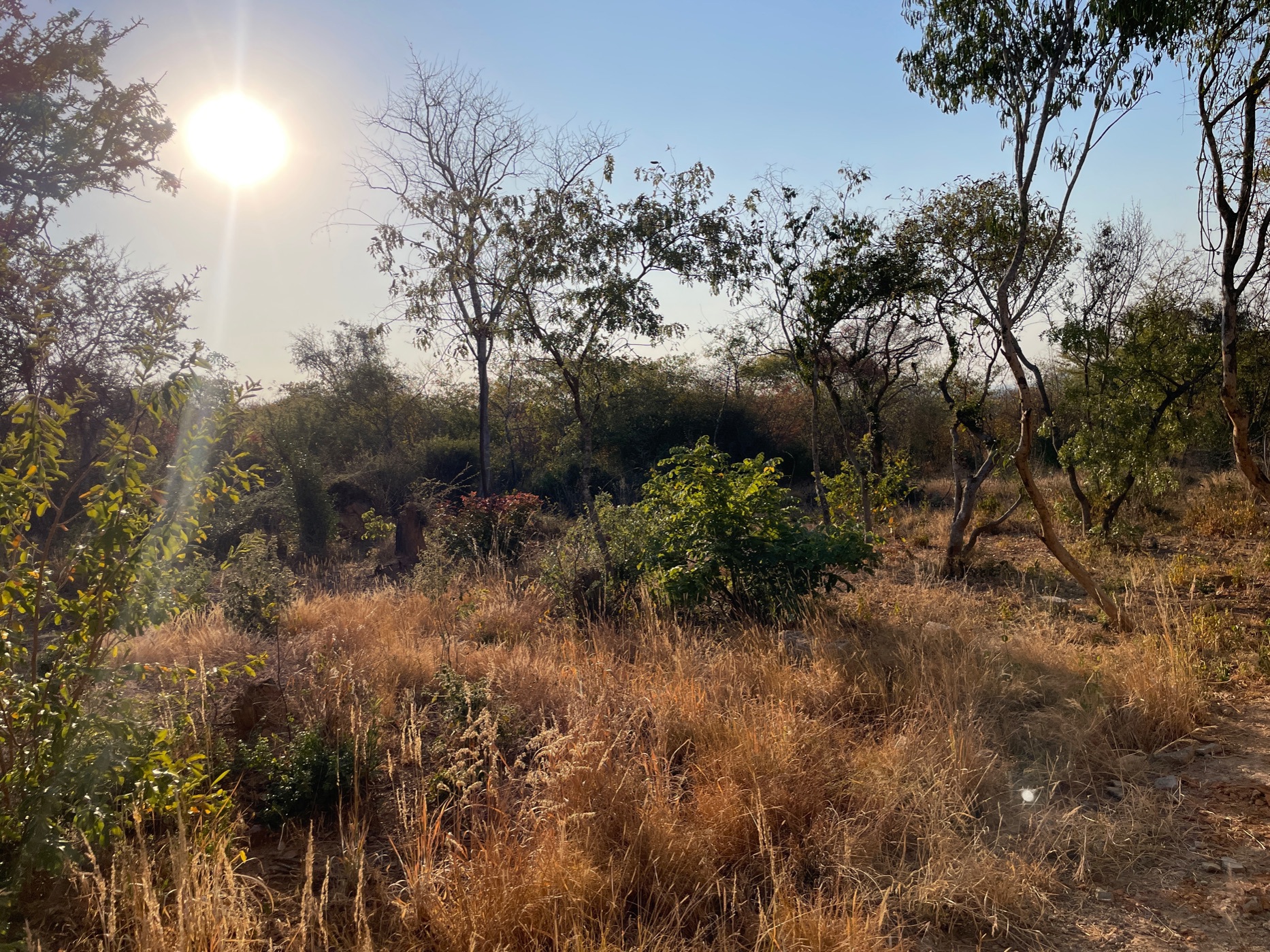 Residential vacant land for sale in Shimabala, Lusaka Province, Zambia - 3ZA1665607