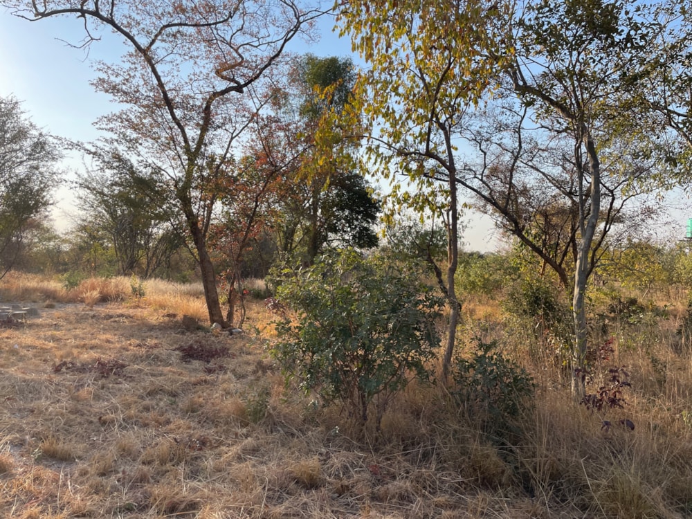 Residential vacant land for sale in Shimabala, Lusaka Province, Zambia - 3ZA1665607