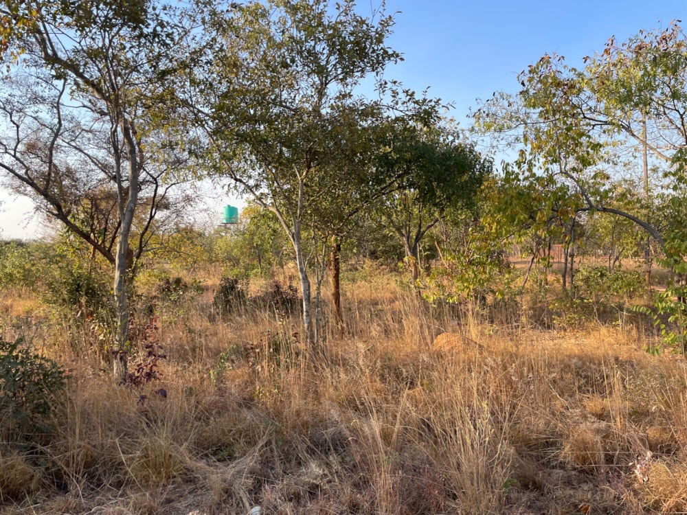 Residential vacant land for sale in Shimabala, Lusaka Province, Zambia - 3ZA1665607