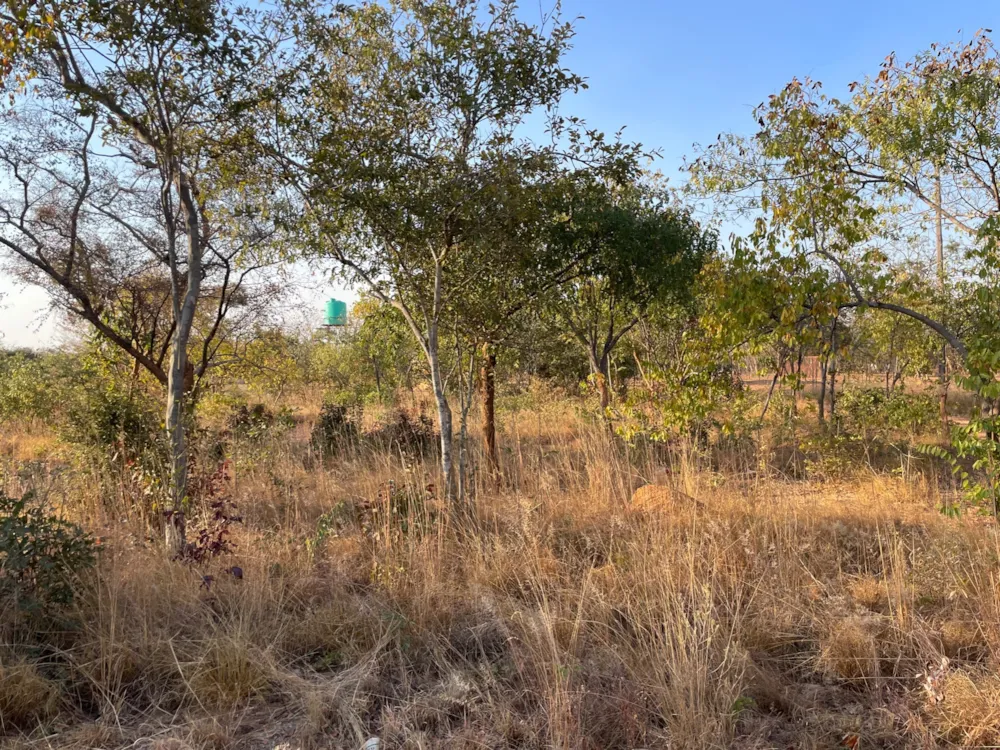 Residential vacant land for sale in Shimabala, Lusaka Province, Zambia - 3ZA1665607 Residential vacant land for sale in Shimabala, Lusaka Province, Zambia - 3ZA1665607