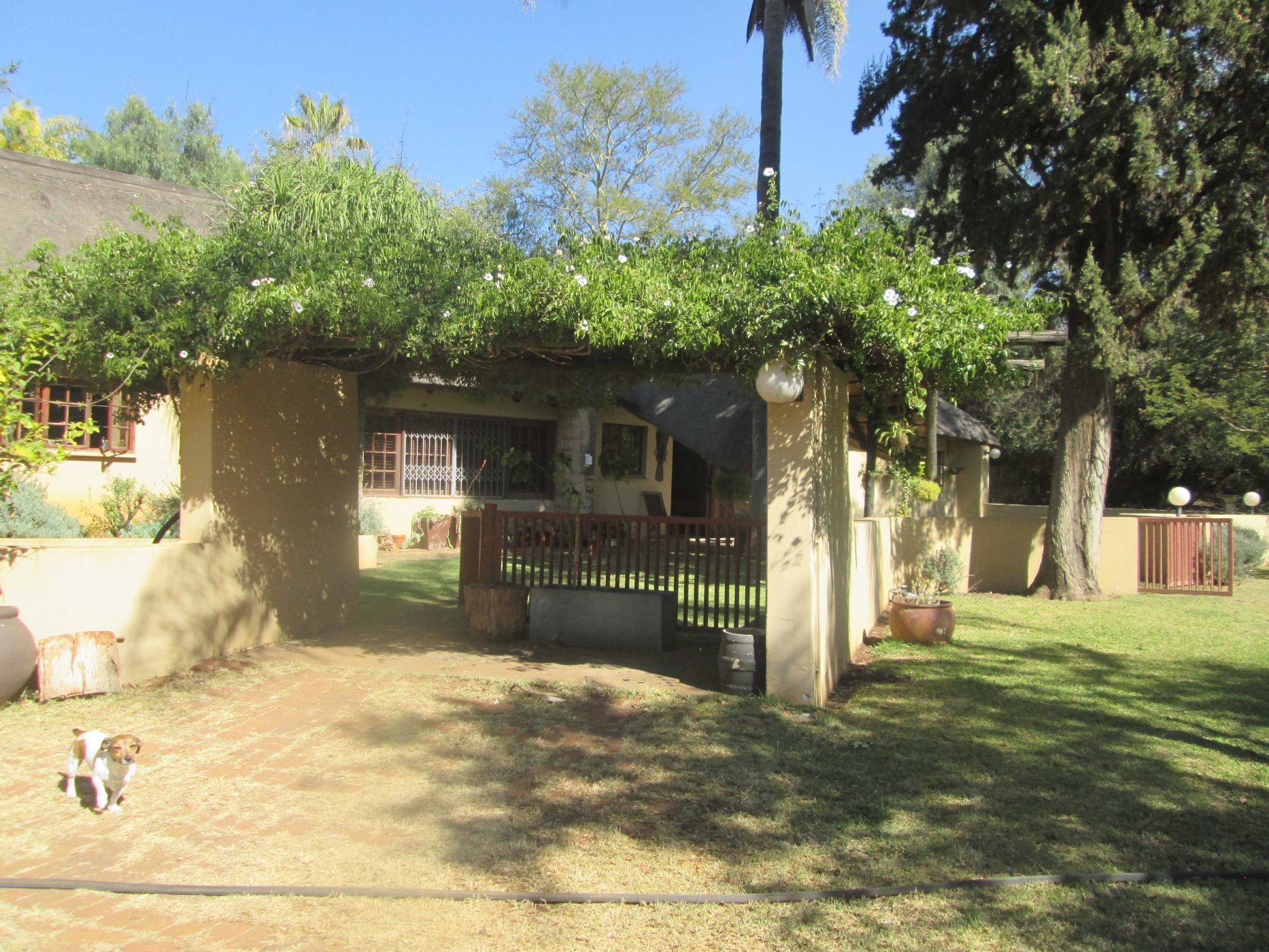 Smallholding for sale in Polokwane - 1PS1666032