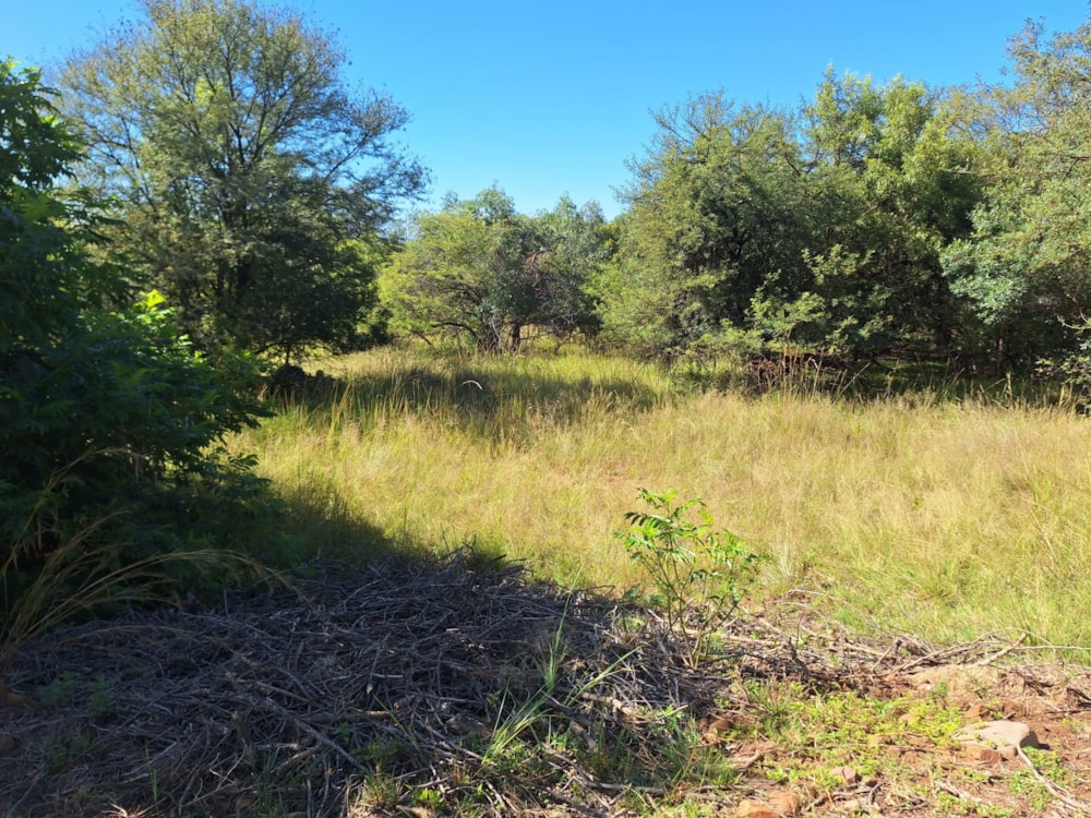 Vacant land for sale in Modimolle (Nylstroom) - 1MDM1666212