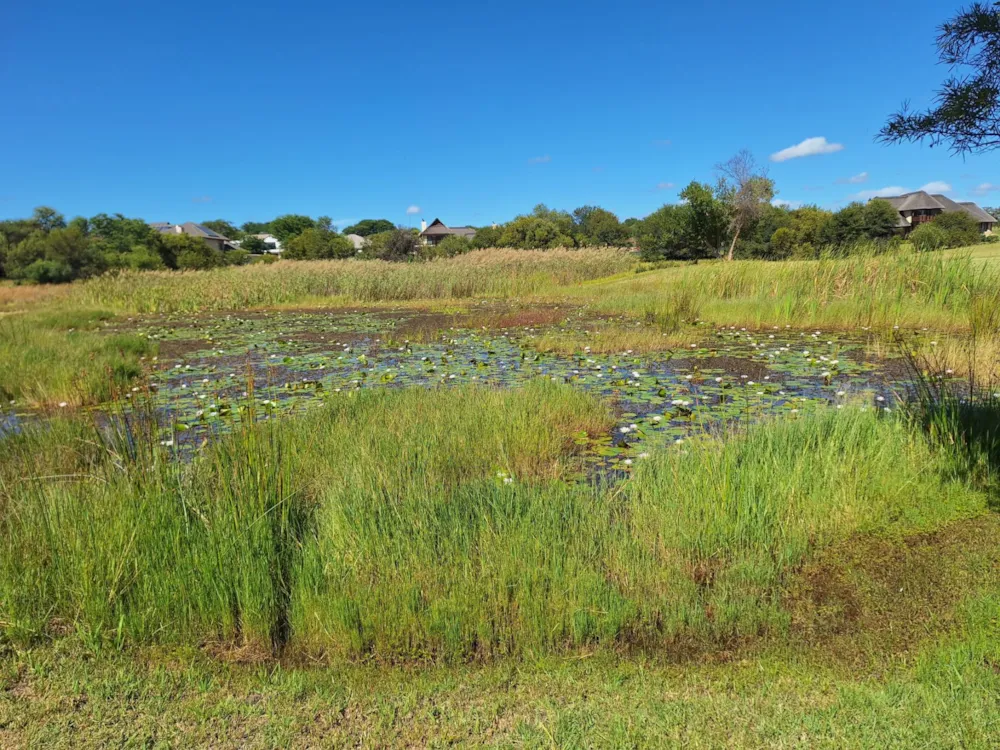 Vacant land for sale in Modimolle (Nylstroom) - 1MDM1666248 Vacant land for sale in Modimolle (Nylstroom) - 1MDM1666248