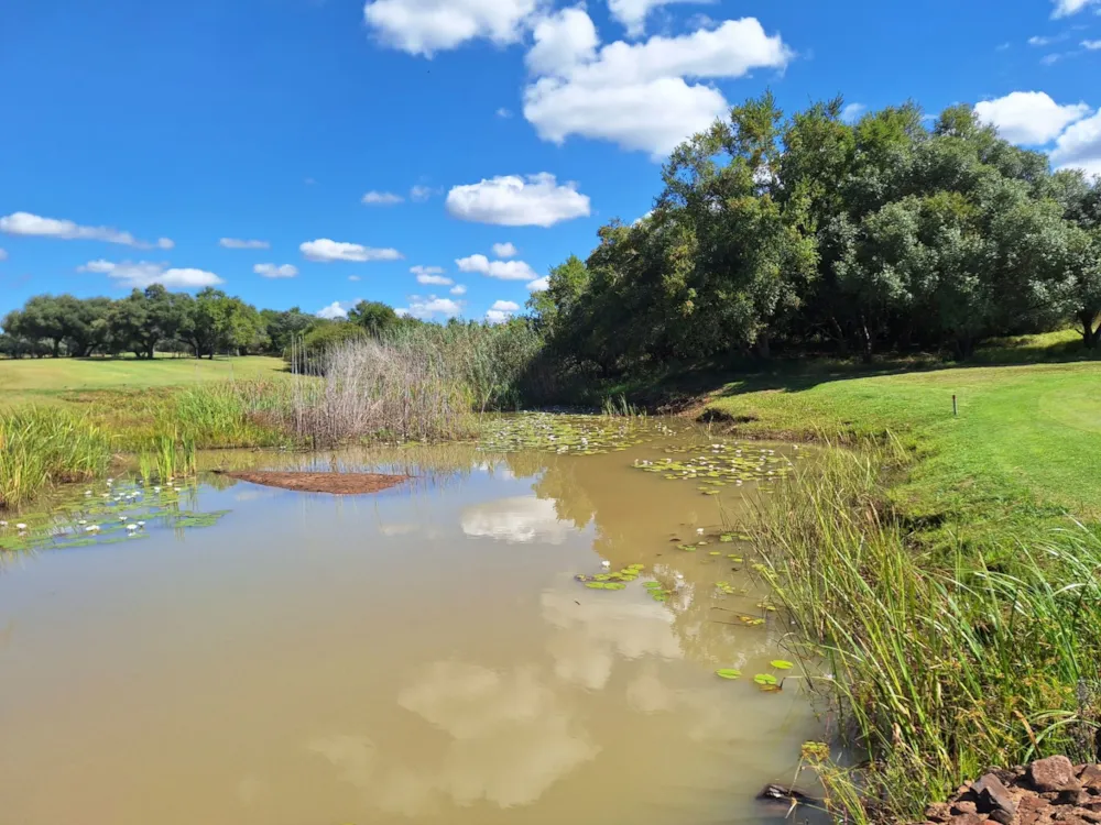 Vacant land for sale in Modimolle (Nylstroom) - 1MDM1666248 Vacant land for sale in Modimolle (Nylstroom) - 1MDM1666248