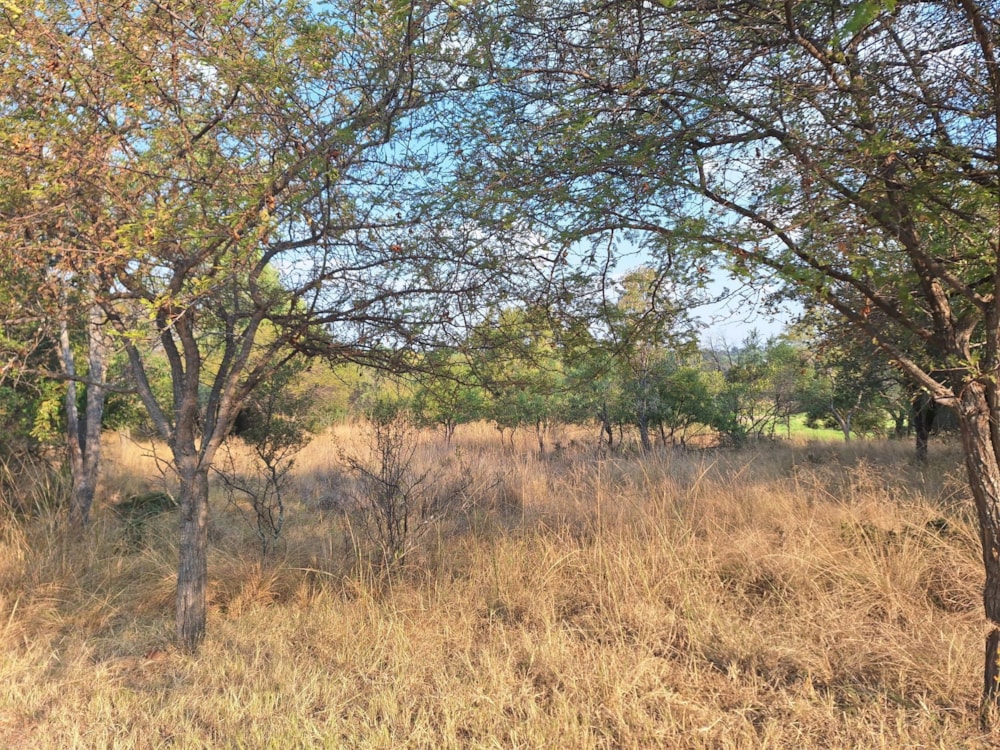 Vacant land for sale in Modimolle (Nylstroom) - 1MDM1666290