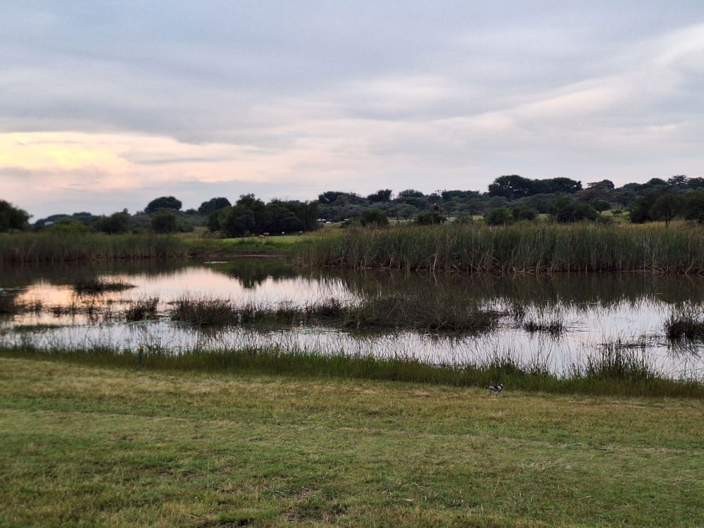 Vacant land for sale in Modimolle (Nylstroom) - 1MDM1666295 Vacant land for sale in Modimolle (Nylstroom) - 1MDM1666295