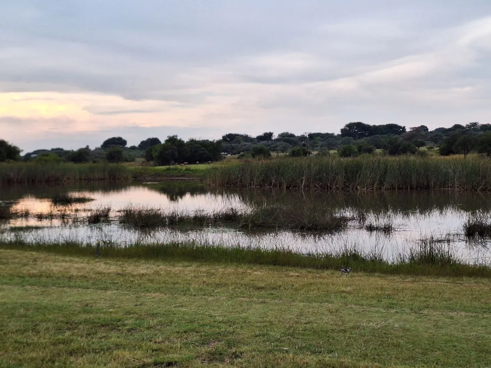 Vacant land for sale in Modimolle (Nylstroom) - 1MDM1666295 Vacant land for sale in Modimolle (Nylstroom) - 1MDM1666295