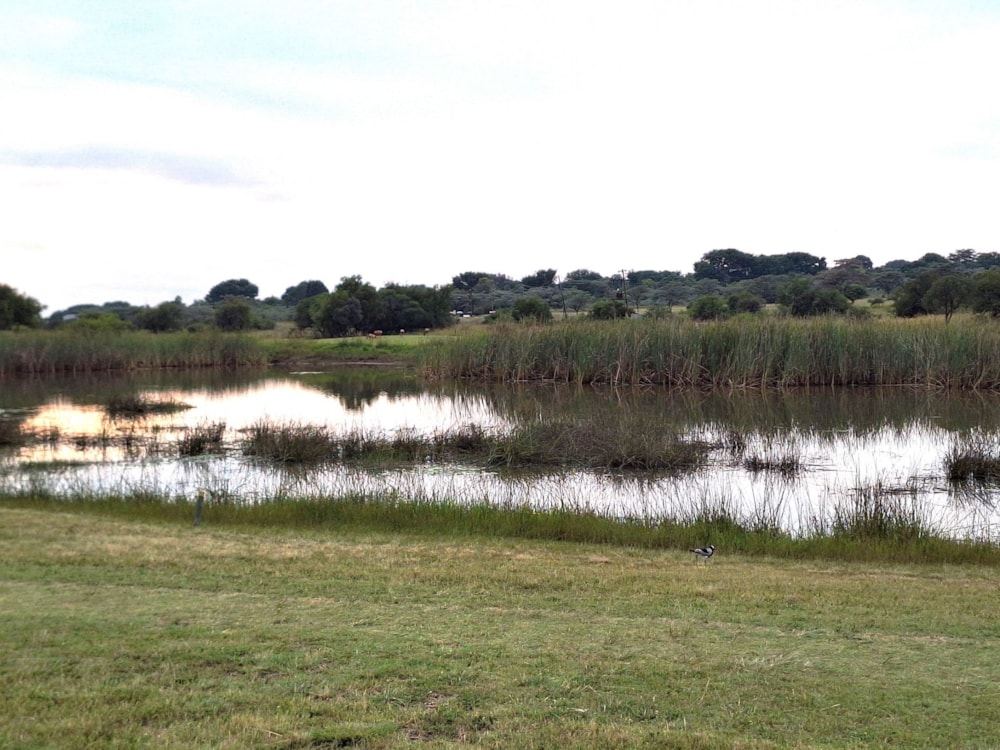 Vacant land for sale in Modimolle (Nylstroom) - 1MDM1666338