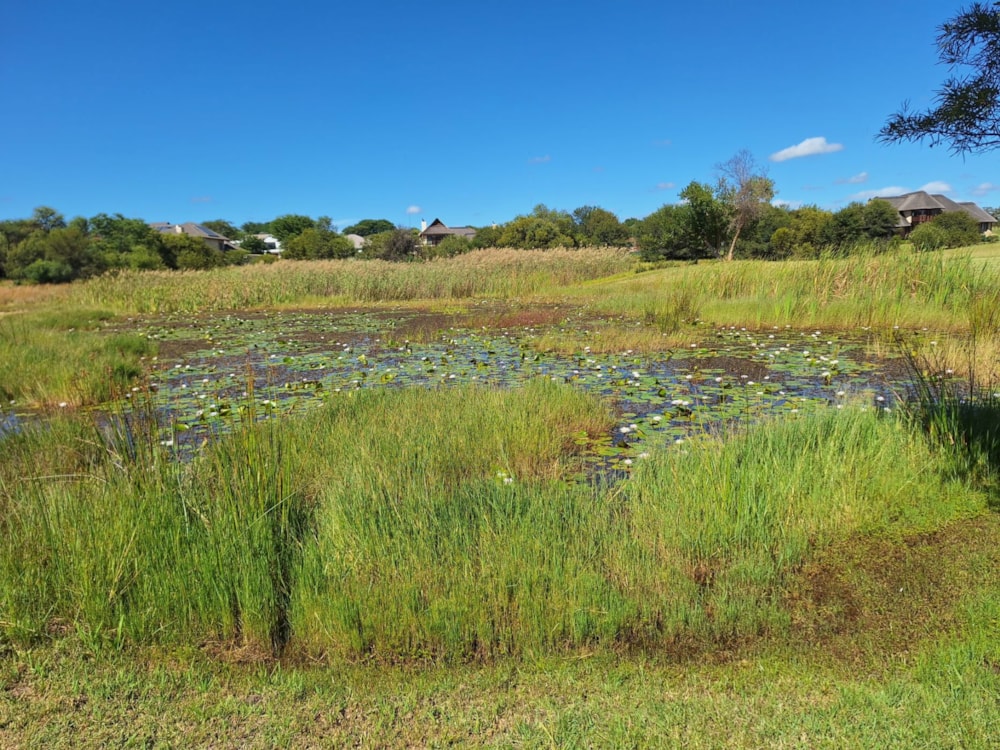 Vacant land for sale in Modimolle (Nylstroom) - 1MDM1666338