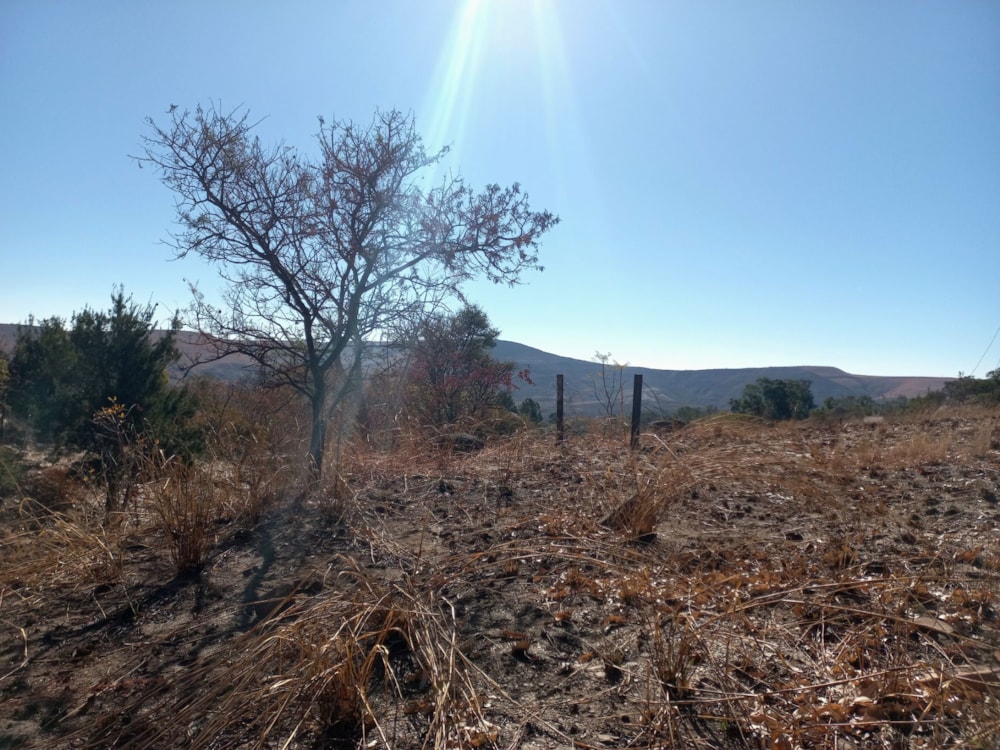 Vacant land for sale in Waterval-boven - 1DS1666548 Vacant land for sale in Waterval-boven - 1DS1666548