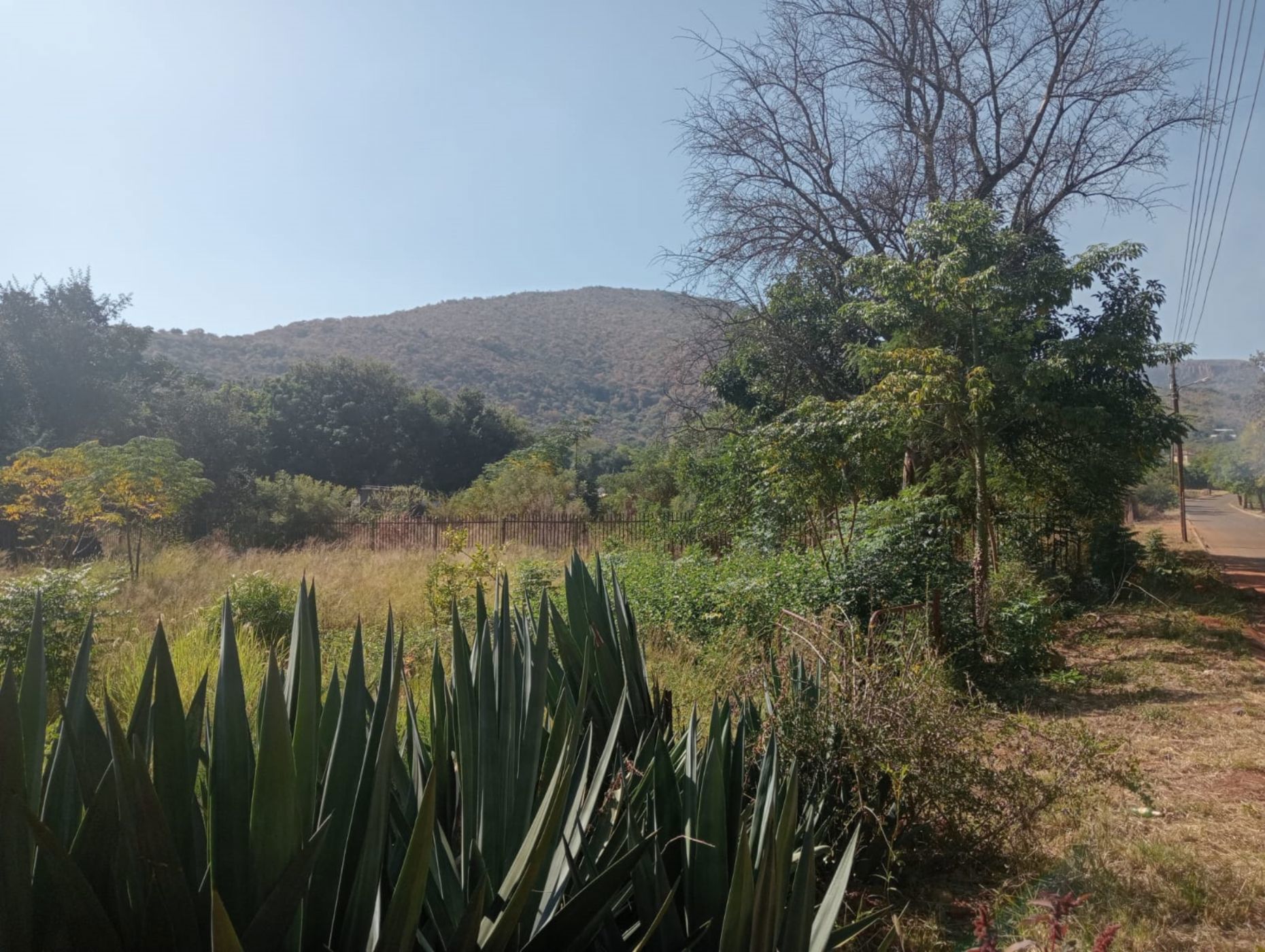 Vacant land for sale in Ohrigstad - 1LY1666576