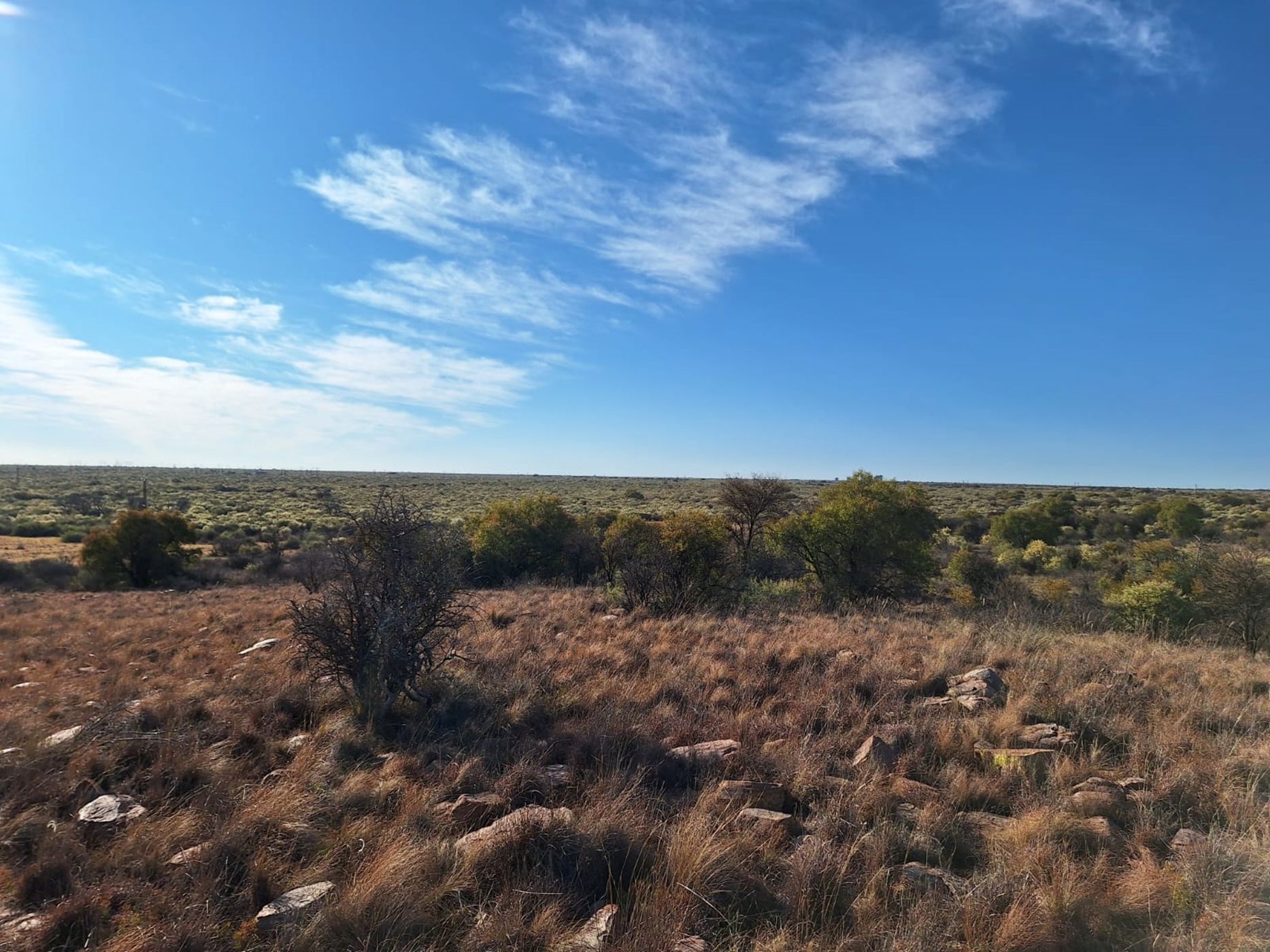 Aquaculture farm for sale in Schweizer-Reneke - 1KJ1666596