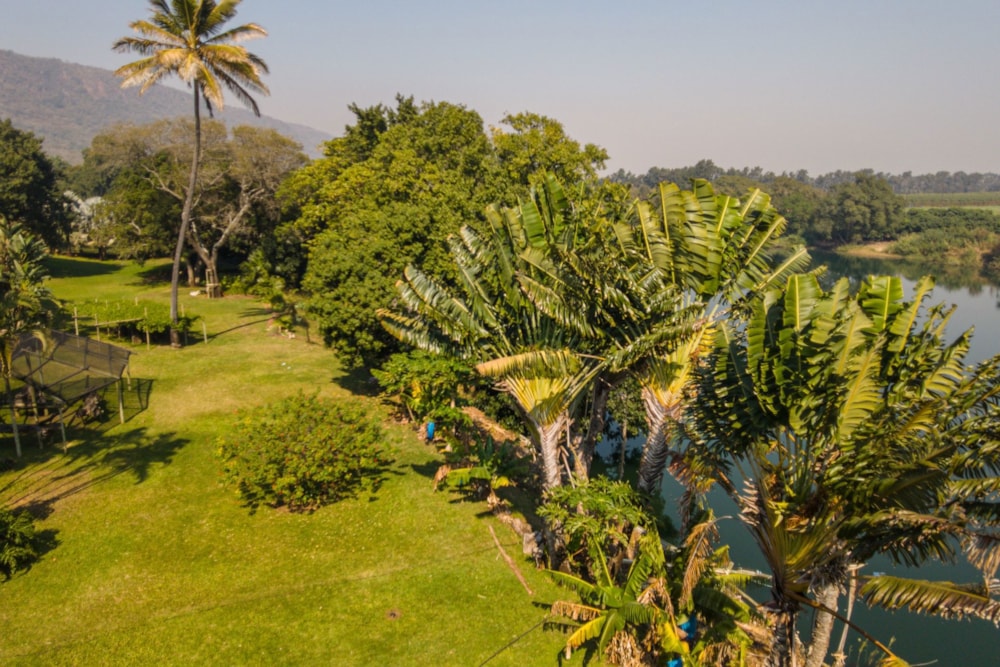 House for sale in Komatipoort - 1NK1666757 House for sale in Komatipoort - 1NK1666757