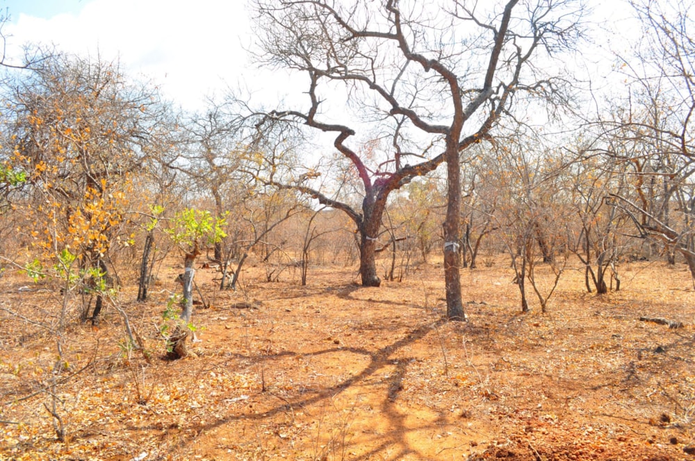 Residential vacant land sold in Jejane - 1HS1667182 Residential vacant land sold in Jejane - 1HS1667182