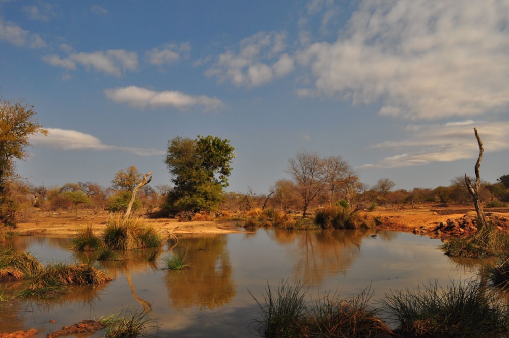 Residential vacant land sold in Jejane - 1HS1667182 Residential vacant land sold in Jejane - 1HS1667182