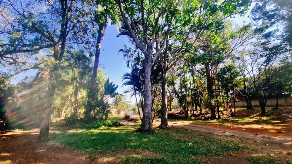 Smallholding for sale in Tzaneen, Limpopo Province - 1TA1667439