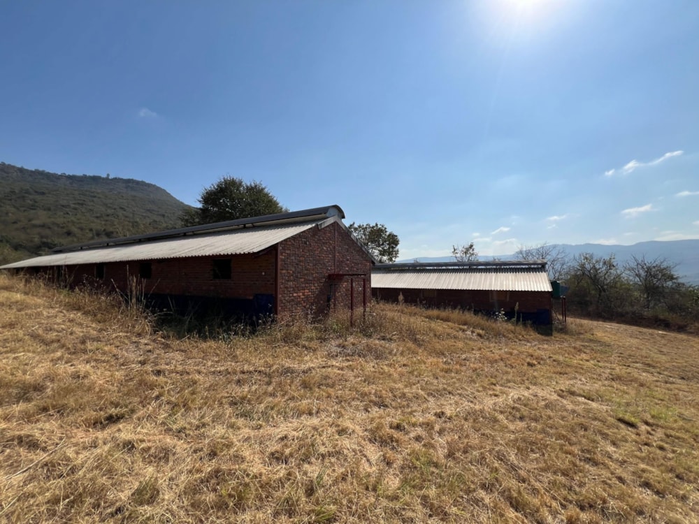 Nut farm for sale in Mbombela Rural (Nelspruit Rural) - 1NS1669987 Nut farm for sale in Mbombela Rural (Nelspruit Rural) - 1NS1669987