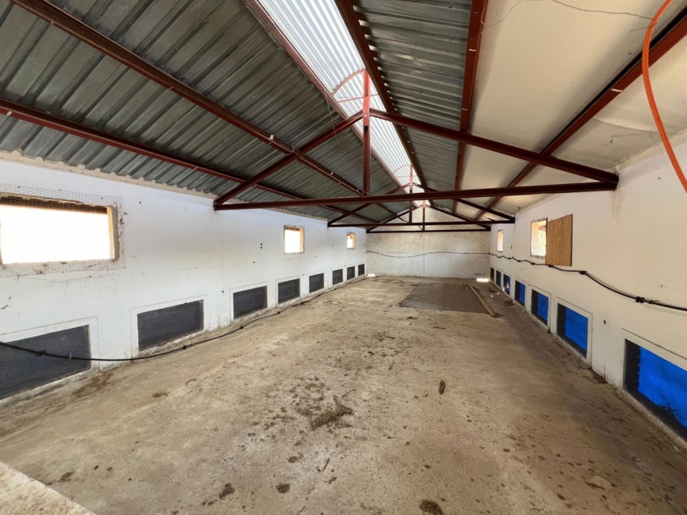 Nut farm for sale in Mbombela Rural (Nelspruit Rural) - 1NS1669987 Nut farm for sale in Mbombela Rural (Nelspruit Rural) - 1NS1669987