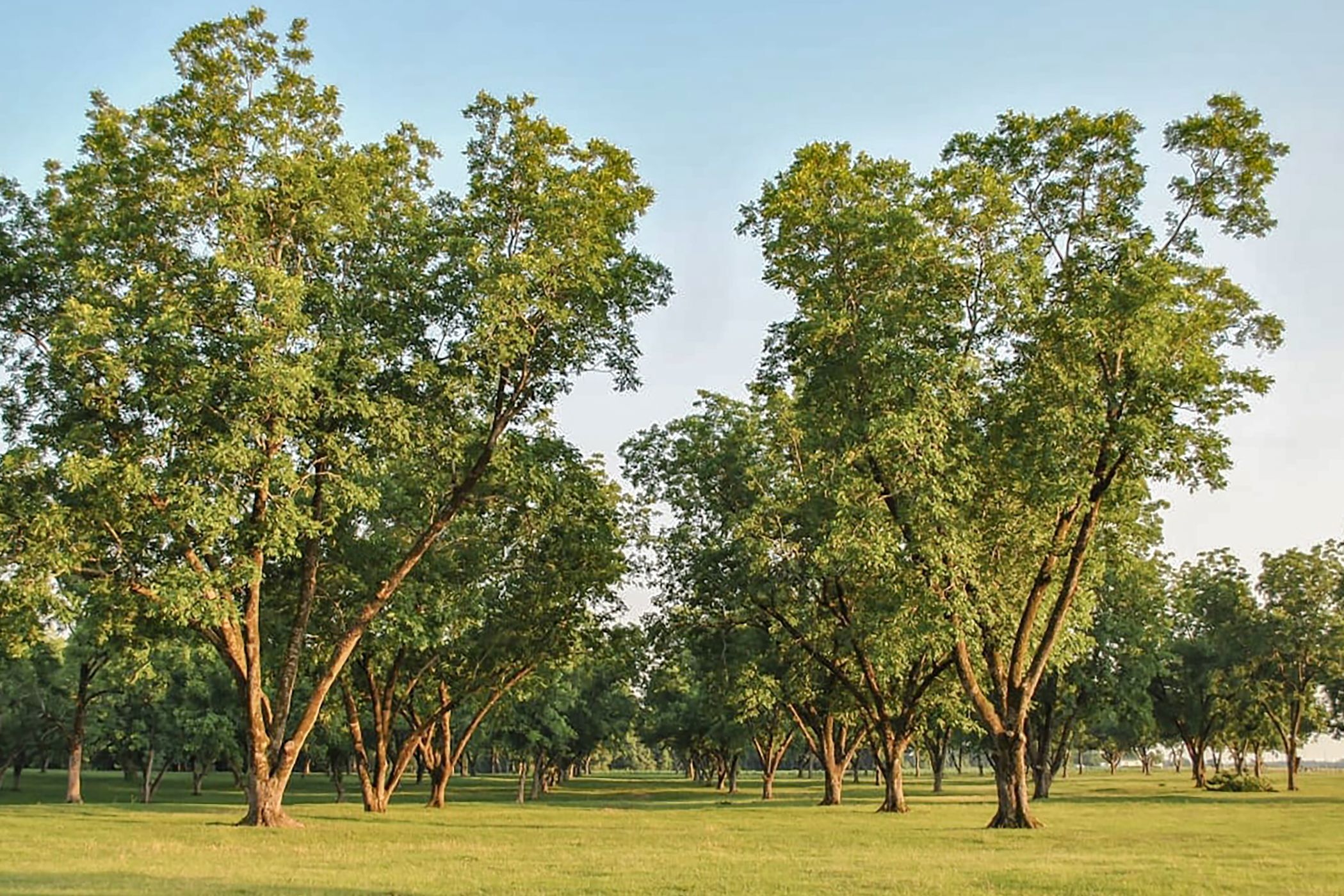 Mixed use farm for sale in Skeerpoort - 1HR1666674