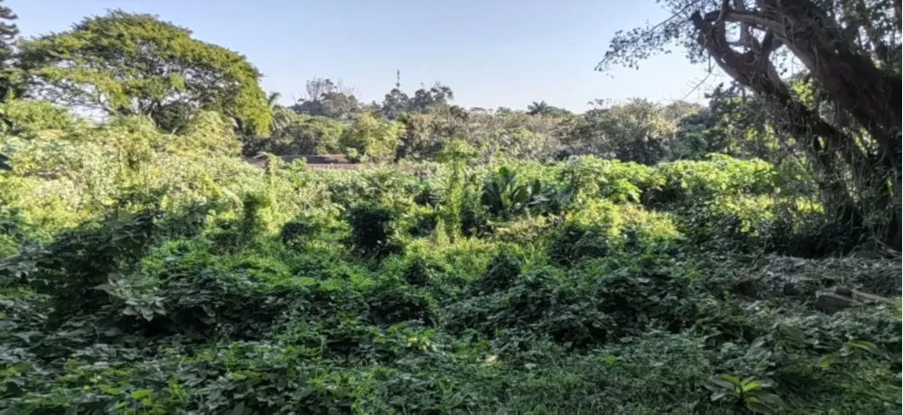 Residential vacant land for sale in Manaba - 1PSH1663959 Residential vacant land for sale in Manaba - 1PSH1663959