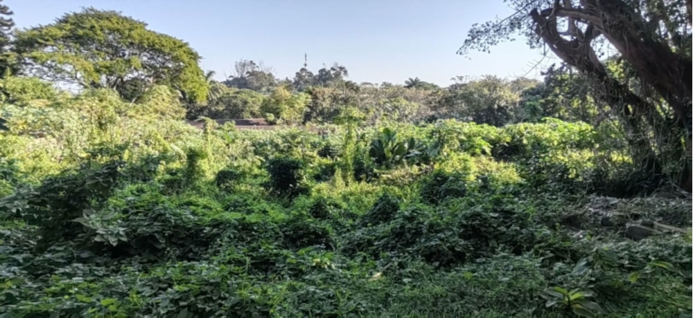 Residential vacant land for sale in Manaba - 1PSH1663959