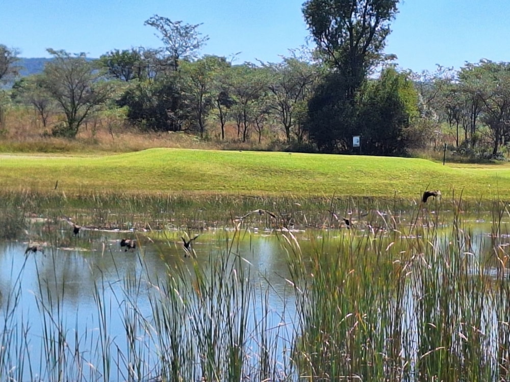 Vacant land for sale in Modimolle (Nylstroom) - 1MDM1666242 Vacant land for sale in Modimolle (Nylstroom) - 1MDM1666242