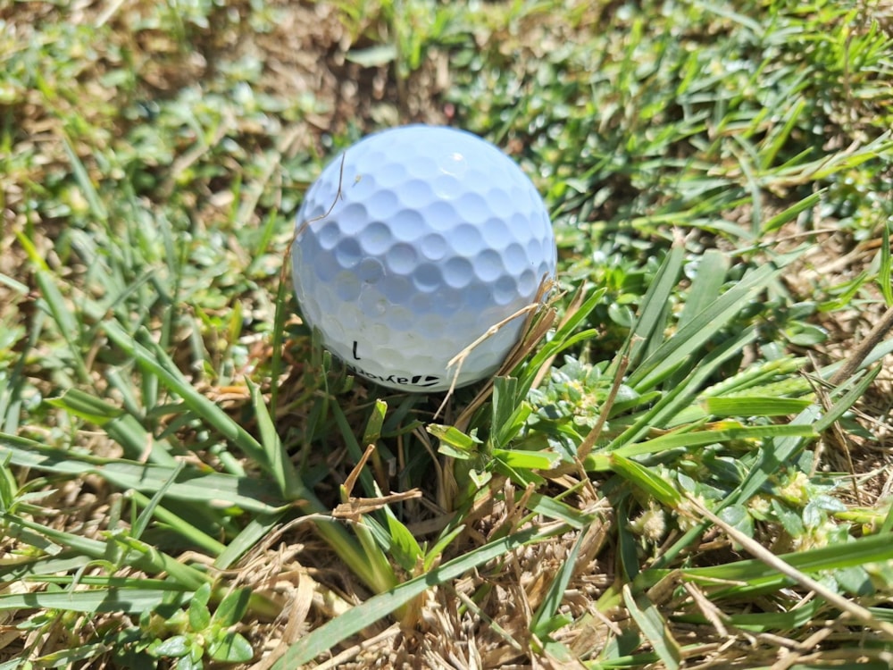 Vacant land for sale in Modimolle (Nylstroom) - 1MDM1666242 Vacant land for sale in Modimolle (Nylstroom) - 1MDM1666242