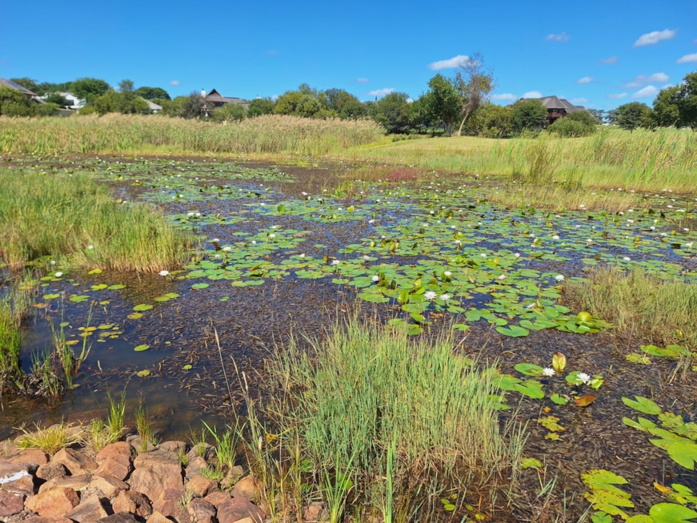 Vacant land for sale in Modimolle (Nylstroom) - 1MDM1666242 Vacant land for sale in Modimolle (Nylstroom) - 1MDM1666242