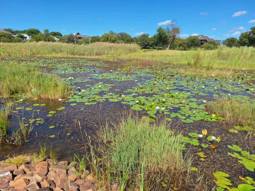 Vacant land for sale in Modimolle (Nylstroom) - 1MDM1666242 Vacant land for sale in Modimolle (Nylstroom) - 1MDM1666242