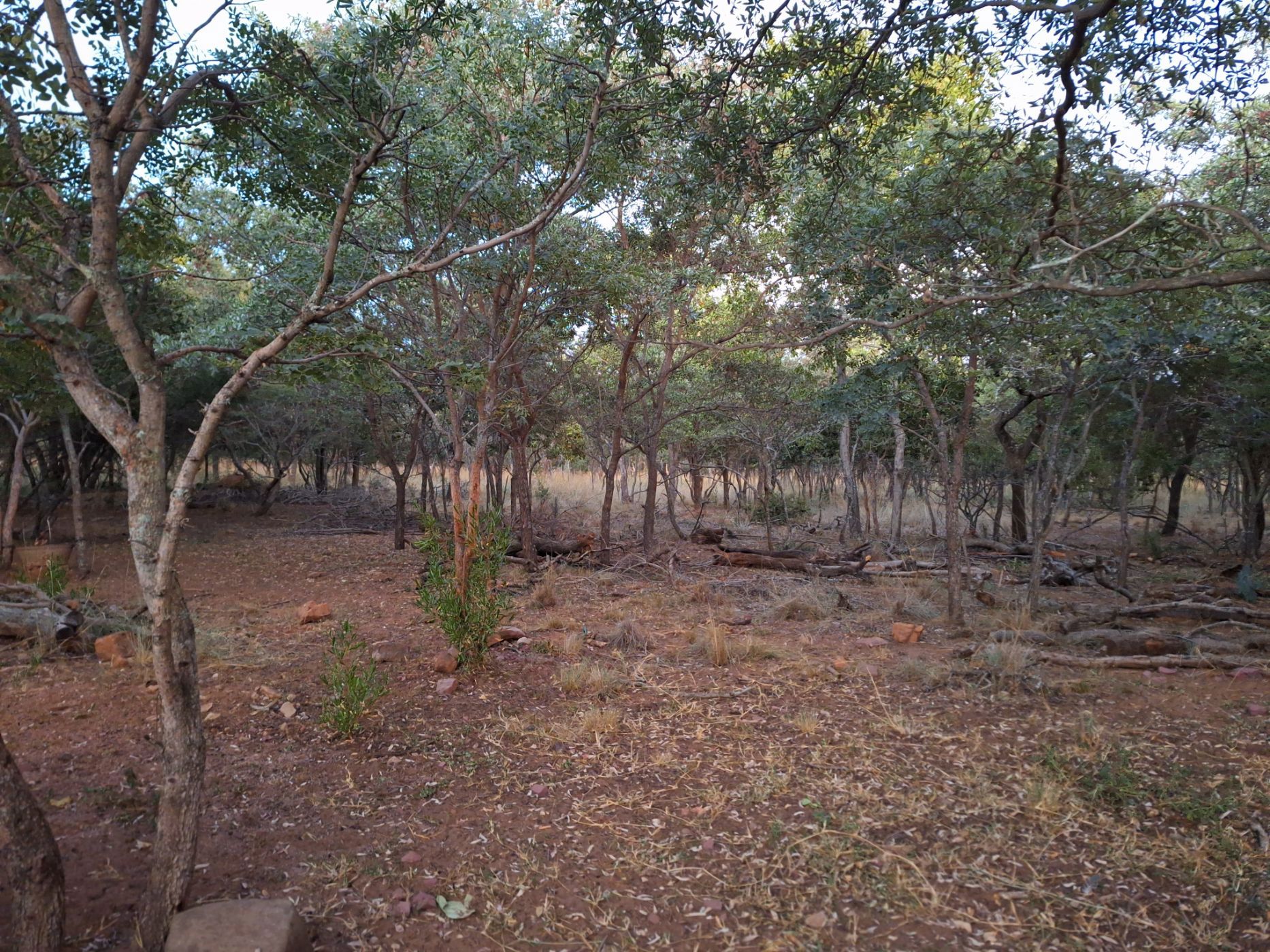 Vacant land for sale in Modimolle (Nylstroom) - 1MDM1666242
