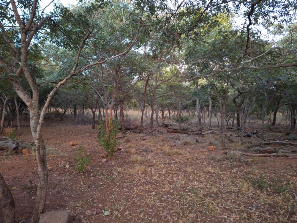 Vacant land for sale in Modimolle (Nylstroom) - 1MDM1666242 Vacant land for sale in Modimolle (Nylstroom) - 1MDM1666242