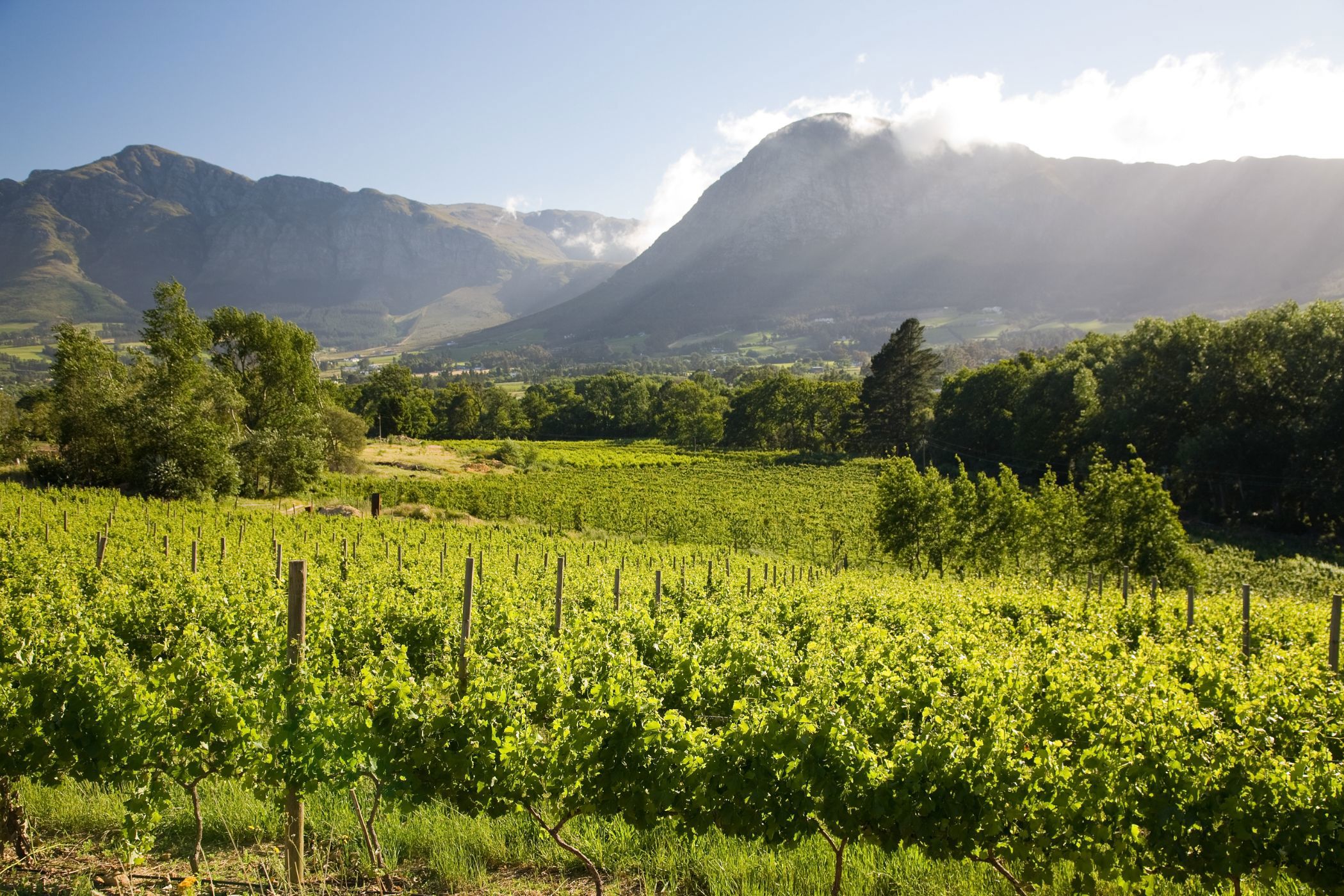Wine farm for sale in Franschhoek - FWI1659372