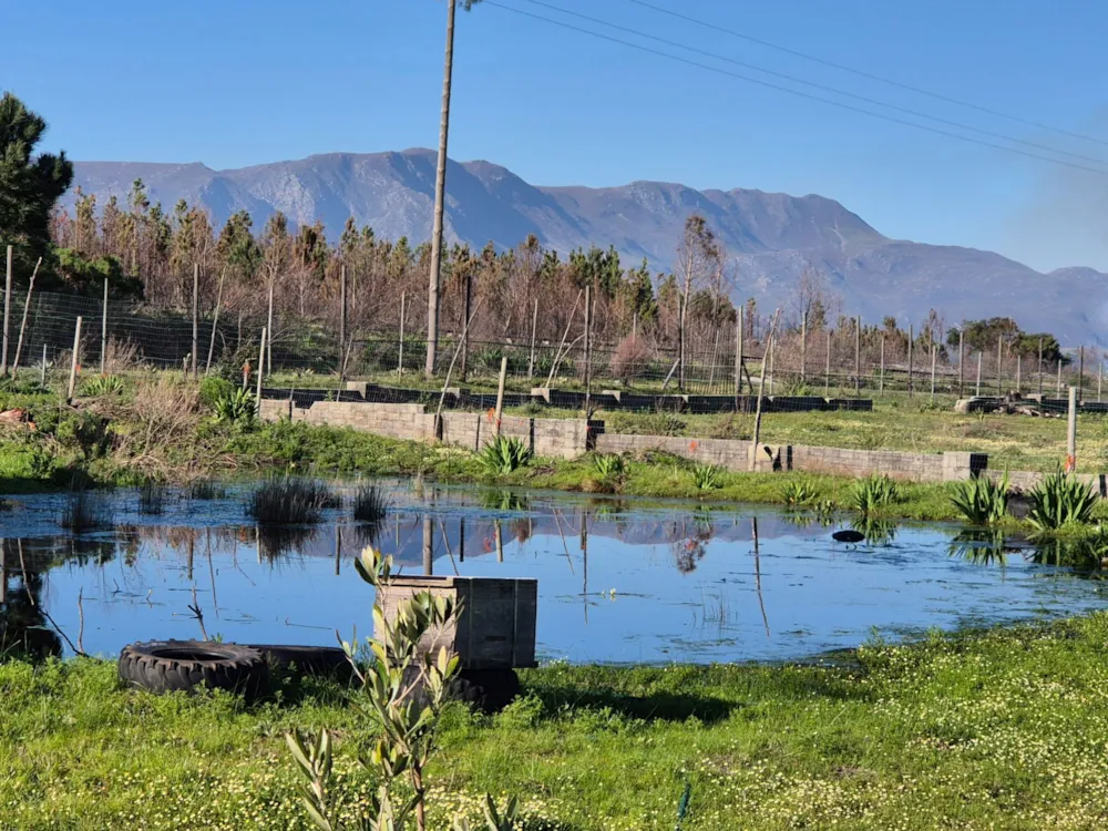Smallholding sold in Grabouw - TK1667311