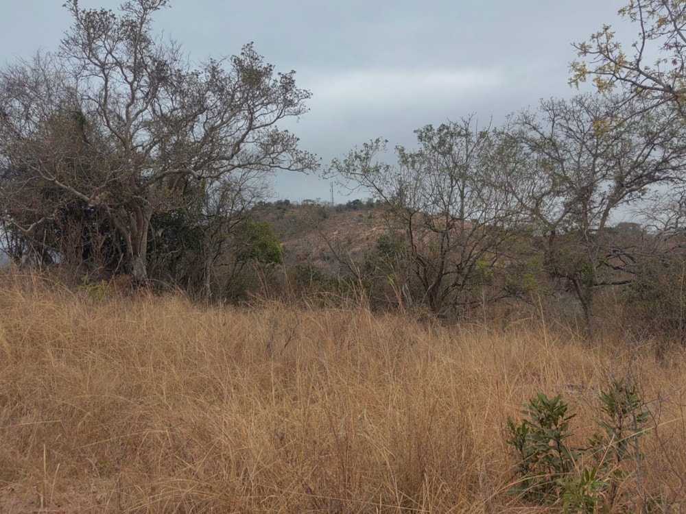 Residential vacant land for sale in Shandon Estate - 1NS1668897