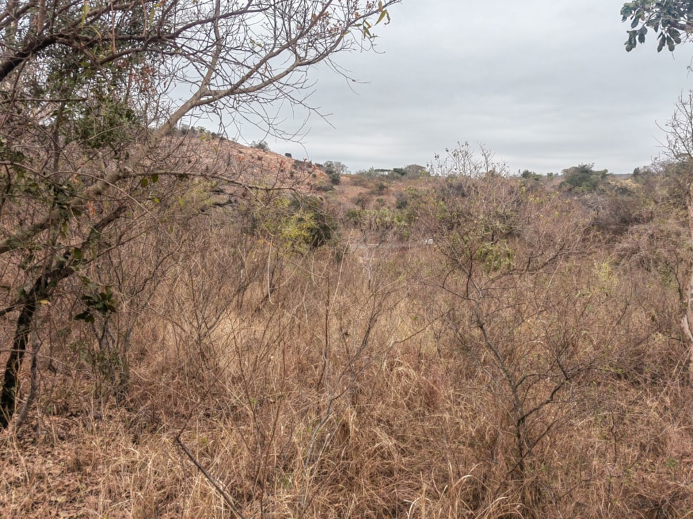 Residential vacant land for sale in Shandon Estate - 1NS1668897