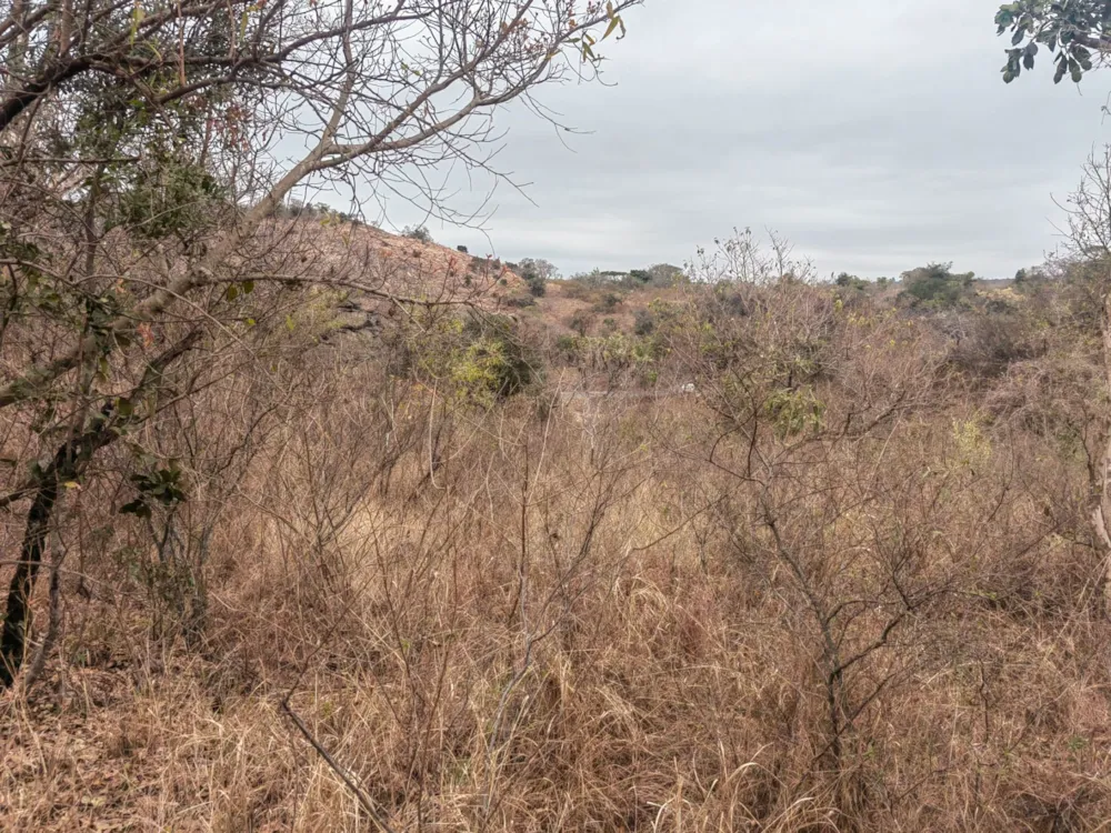 Residential vacant land for sale in Shandon Estate - 1NS1668897 Residential vacant land for sale in Shandon Estate - 1NS1668897