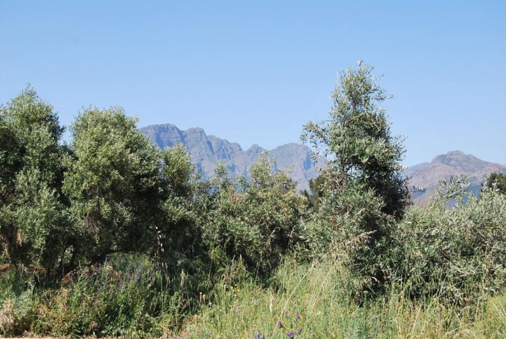 Vacant land sold in Franschhoek - FWI1670201