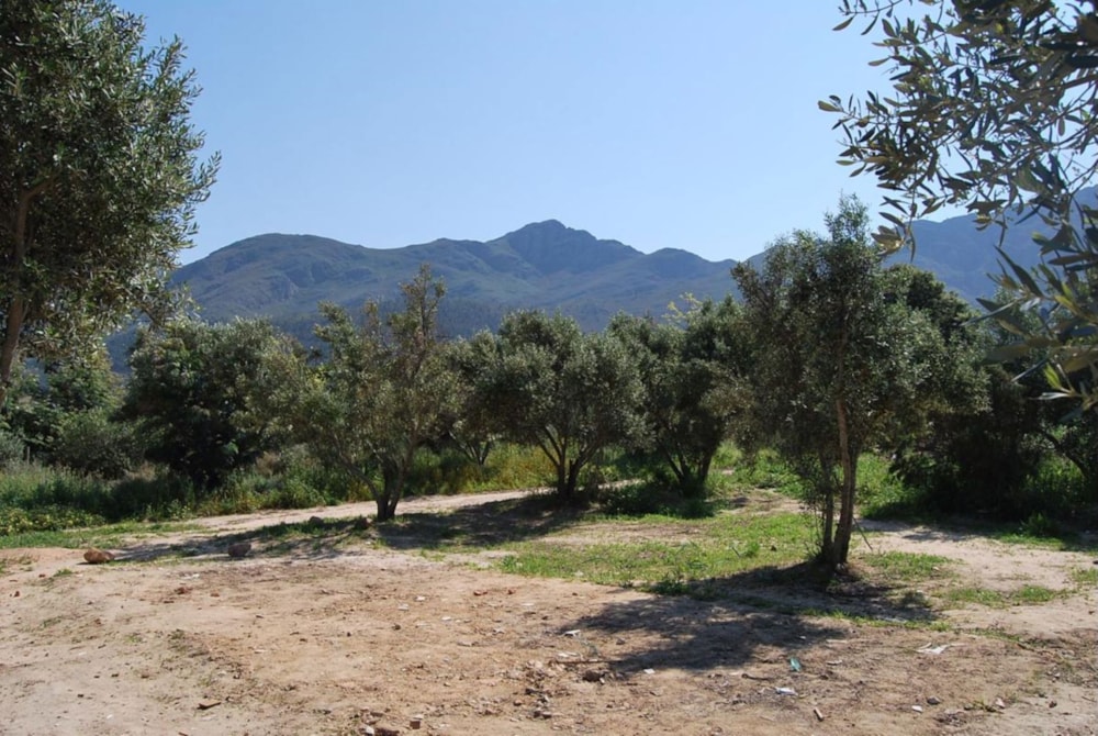 Vacant land sold in Franschhoek - FWI1670201