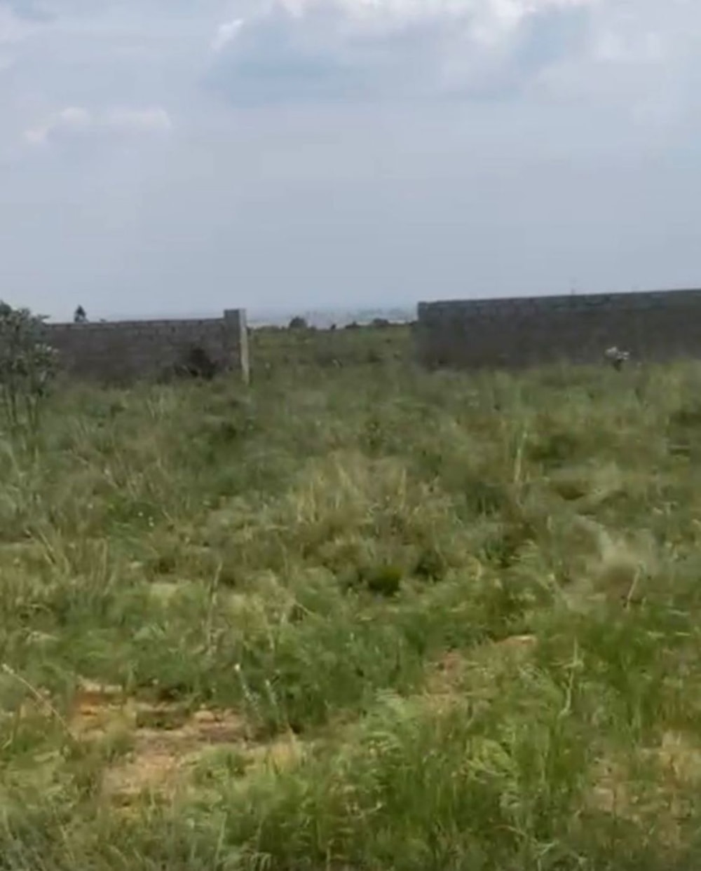 Vacant land for sale in Ben Fleur - 1WD1668768 Vacant land for sale in Ben Fleur - 1WD1668768