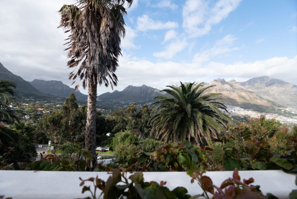 House sold in Mount Rhodes - HOB1668049 House sold in Mount Rhodes - HOB1668049