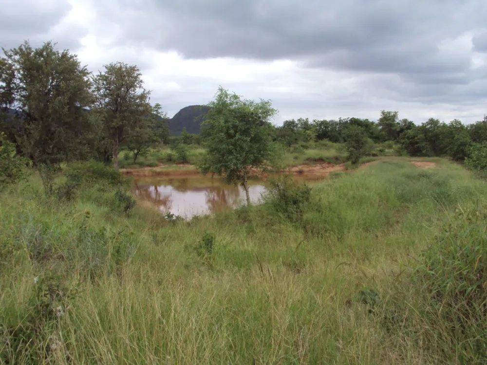 Game farm for sale in Phalaborwa - 1PW1515897