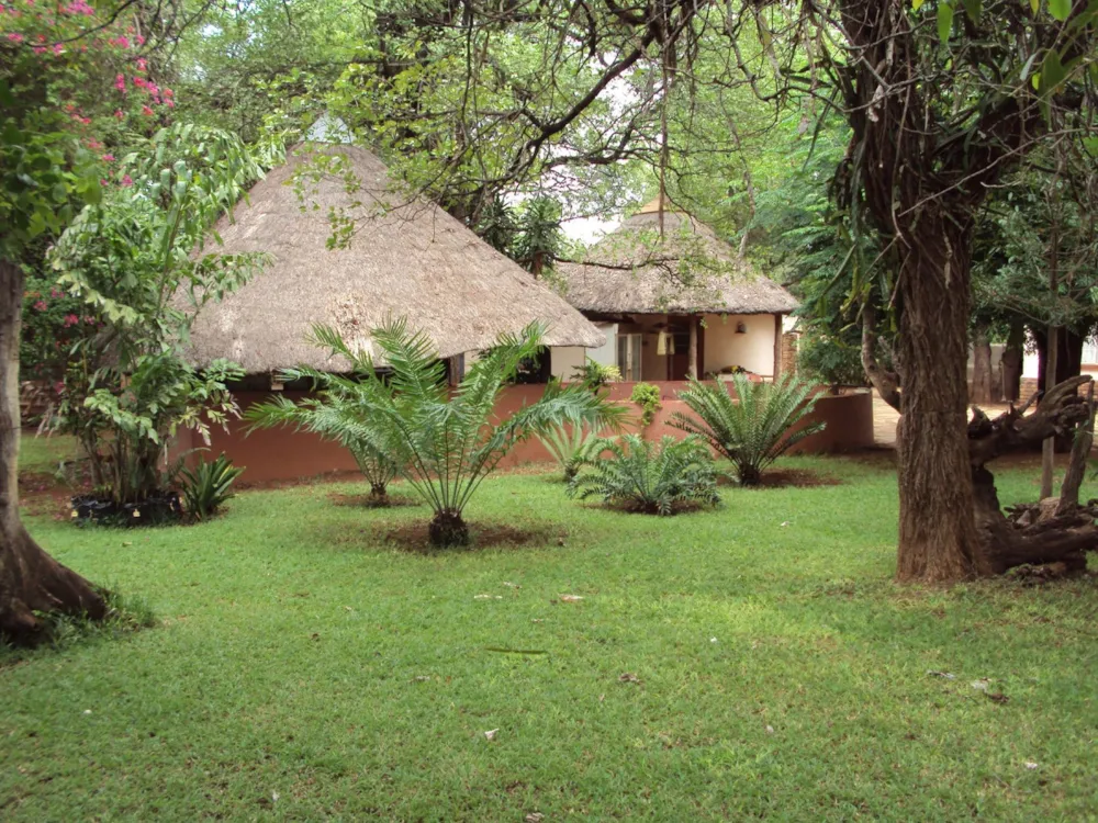 Game farm for sale in Phalaborwa - 1PW1515897