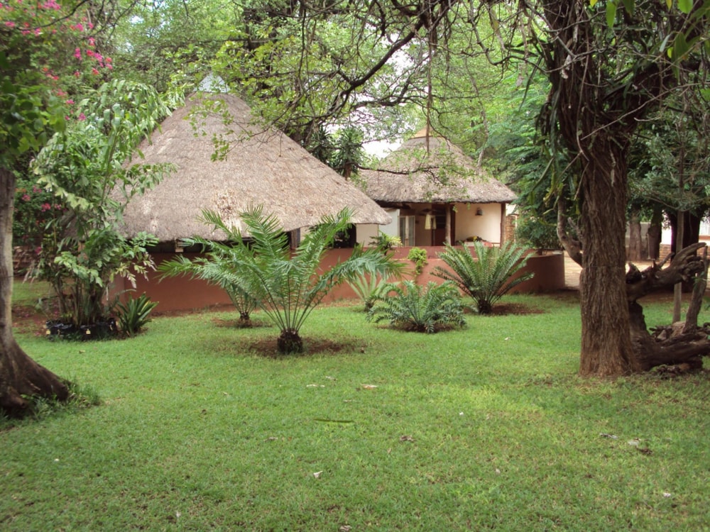 Game farm for sale in Phalaborwa - 1PW1515897 Game farm for sale in Phalaborwa - 1PW1515897