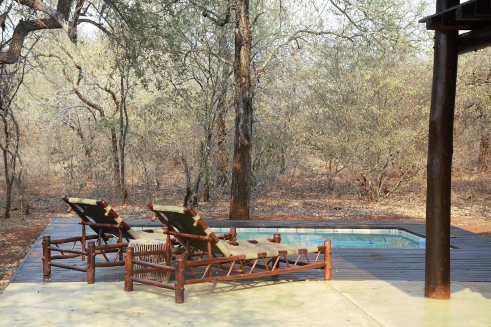 House to rent in Marloth Park - 1NK1670106 House to rent in Marloth Park - 1NK1670106