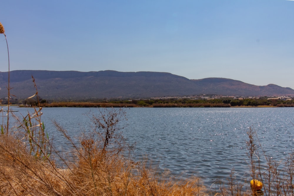 Vacant land sold in The Coves - 1HR1671800 Vacant land sold in The Coves - 1HR1671800