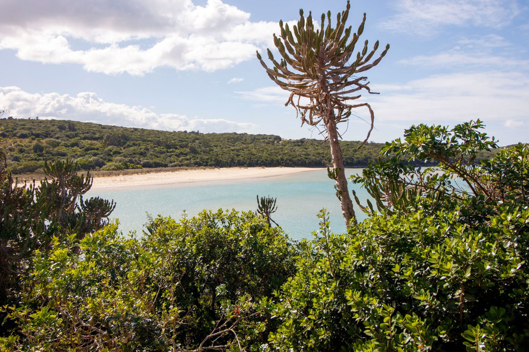 Double-storey house to rent in Kenton on Sea - 1KO1708844