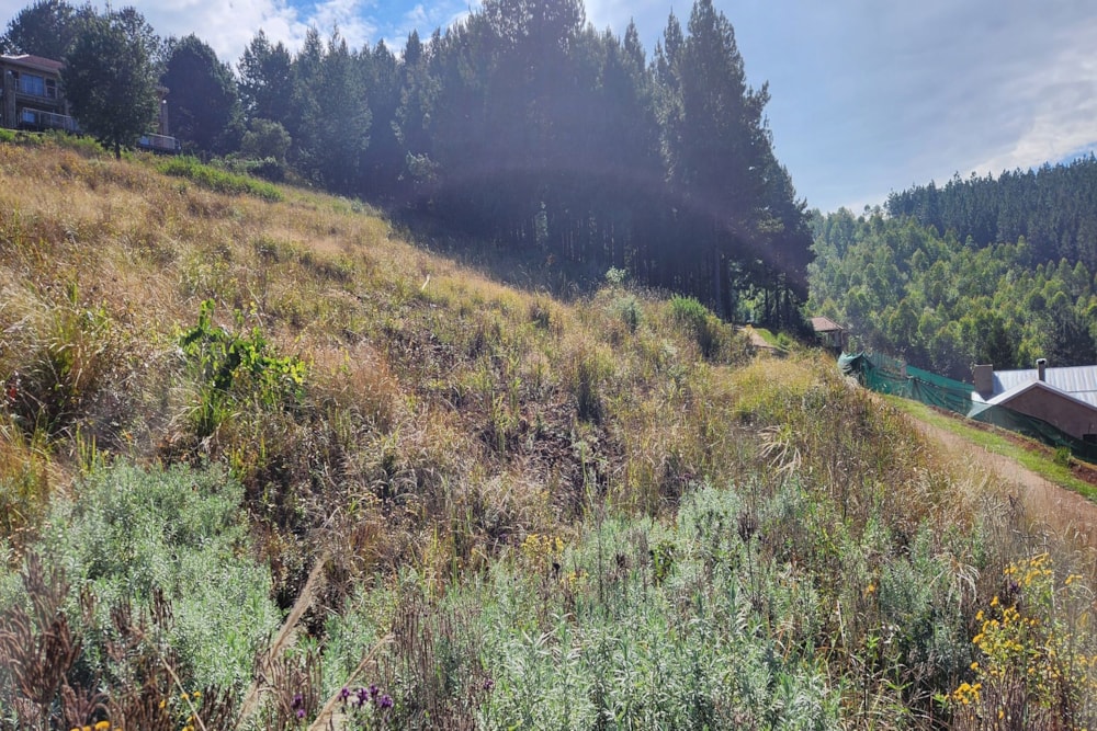 Residential vacant land sold in Haenertsburg - 1TA1614662 Residential vacant land sold in Haenertsburg - 1TA1614662