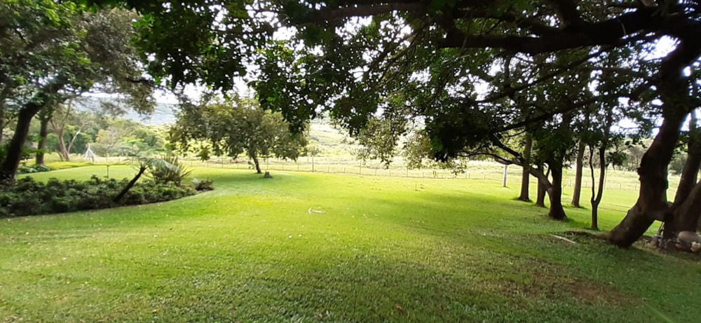 Smallholding for sale in Tzaneen, Limpopo Province - 1TA1667737
