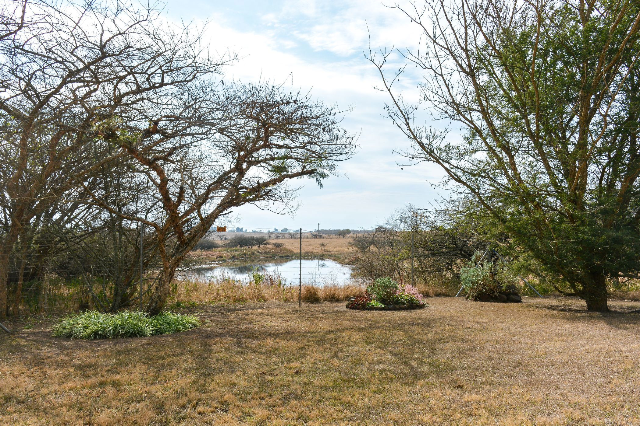 Smallholding for sale in Ottos Bluff - 1PM1668022