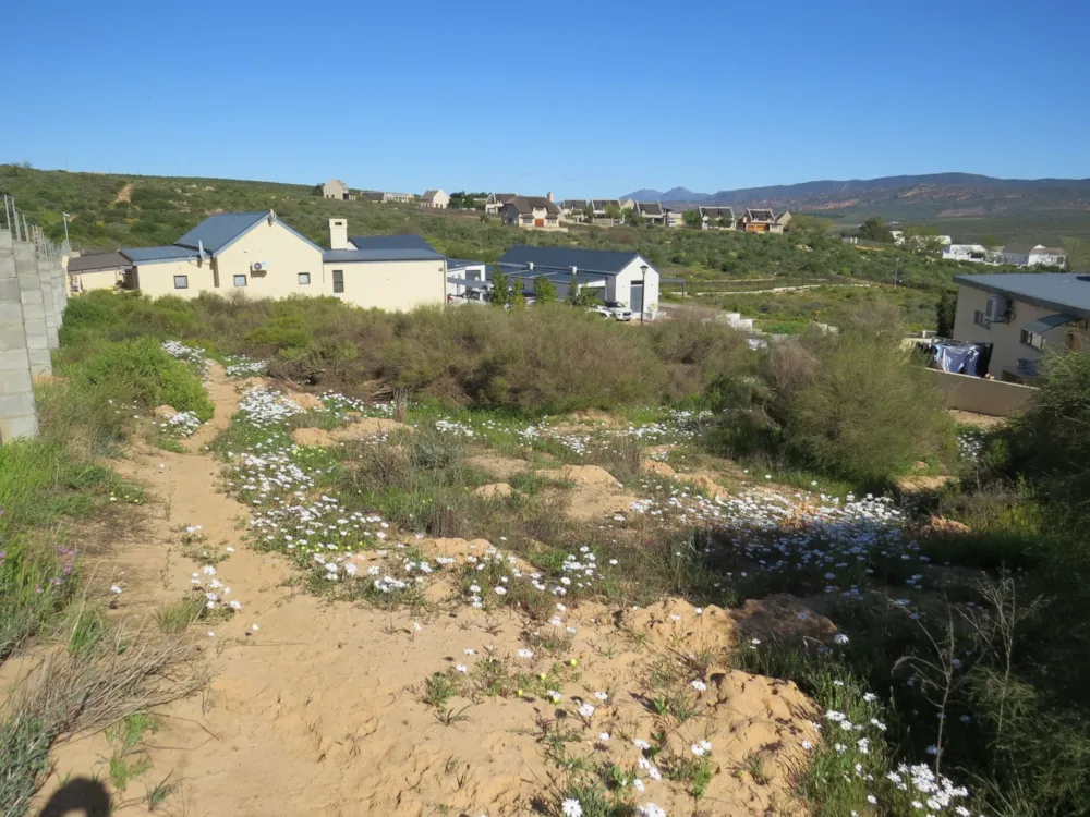 Vacant land for sale in Clanwilliam - 1NA1666518